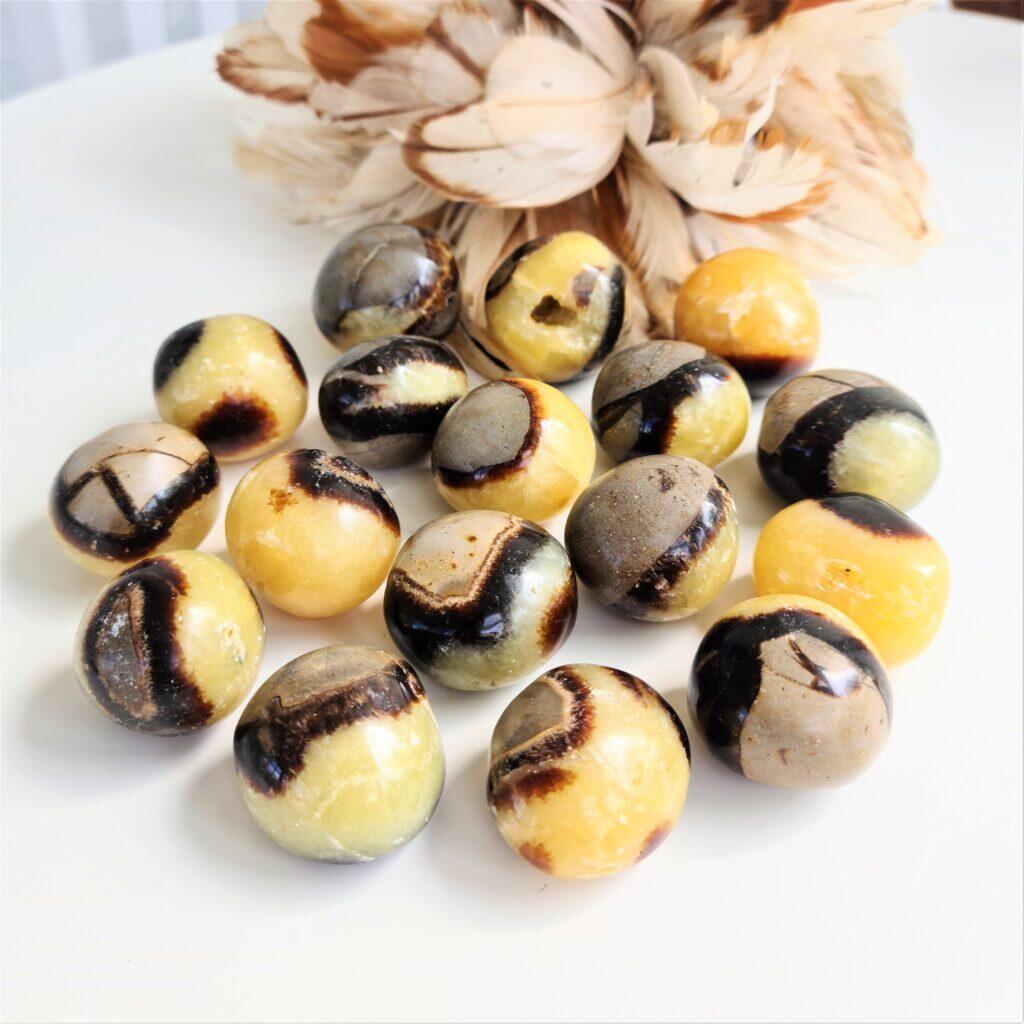 Septarian - Draksten - cuddlestone