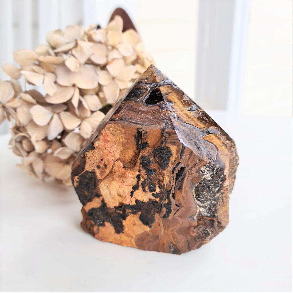 Tigeröga - slipad stor spets