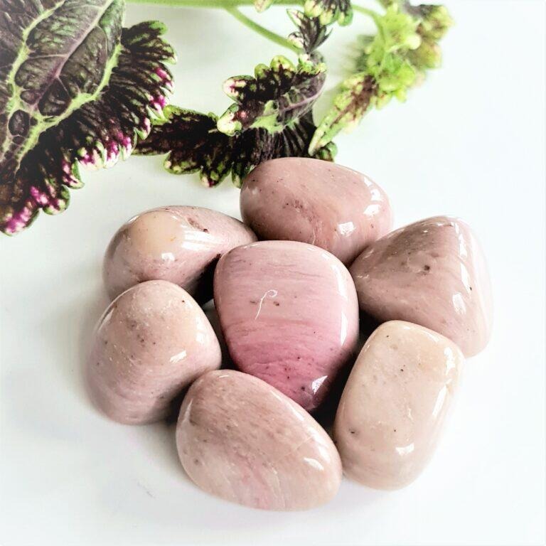 Förstenat trä - rosa