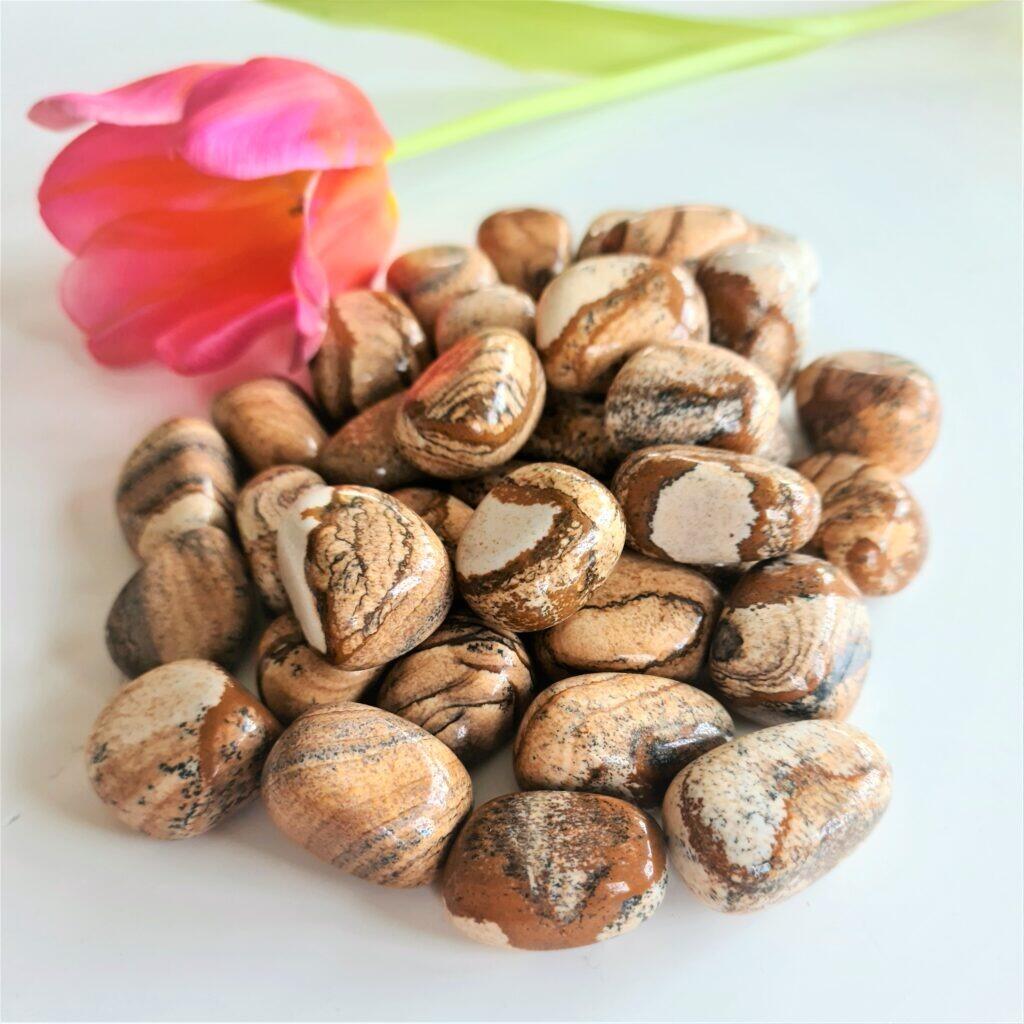 bildjaspis - landskapsjaspis trumlad