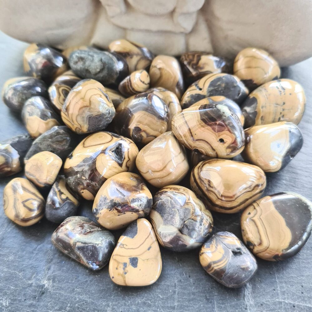 Schalenblende - trumlad