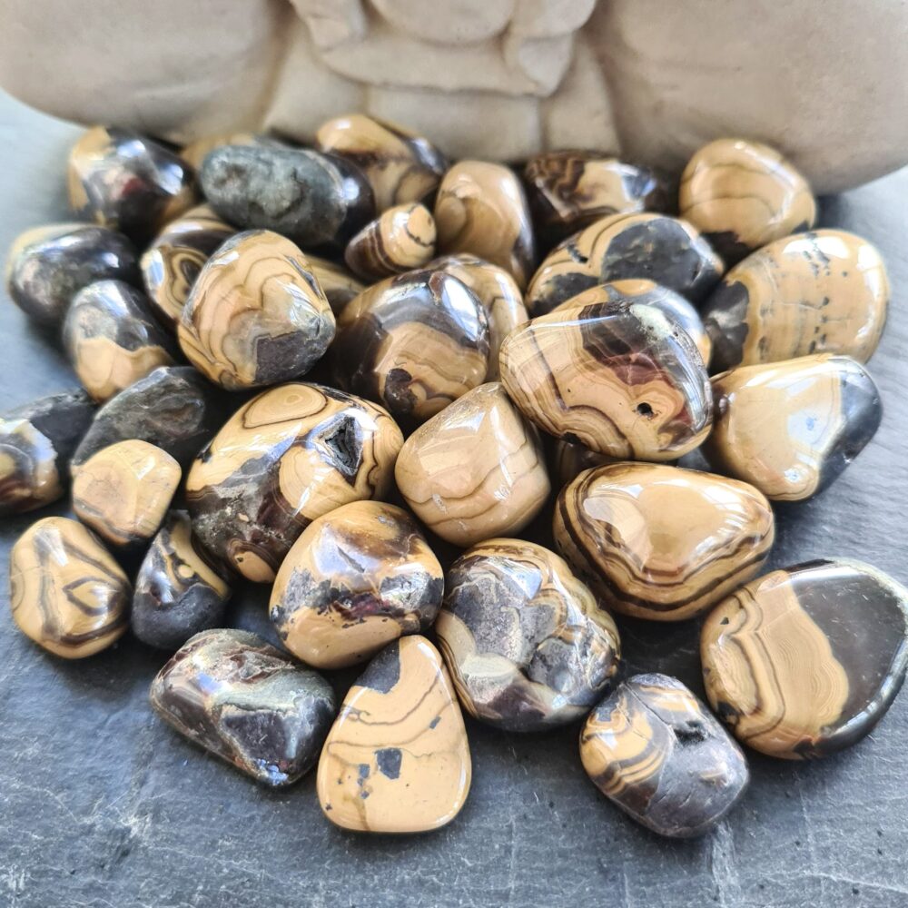 Schalenblende - trumlad