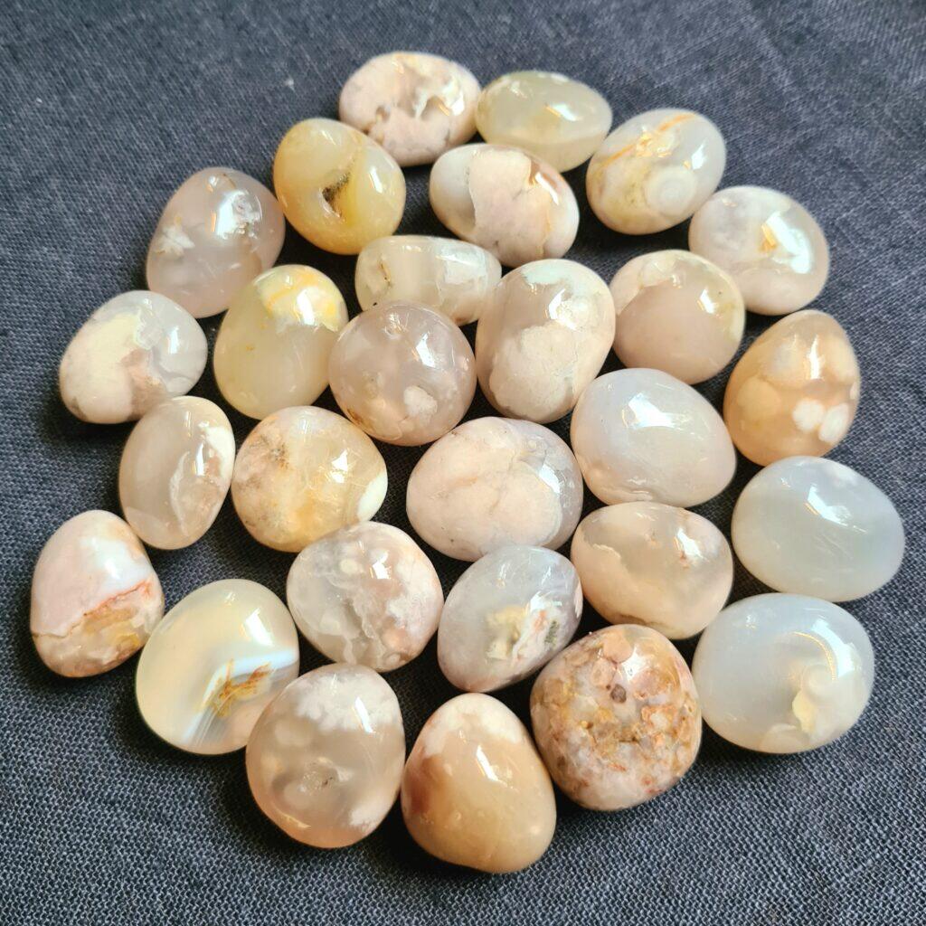 blomsteragat mindre trumlade