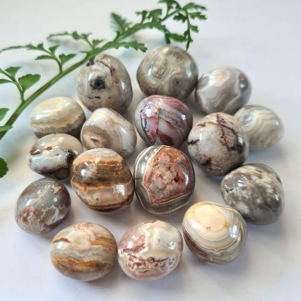 Crazy Lace Agat - trumlad röd